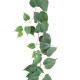 POTHOS GARLAND 190