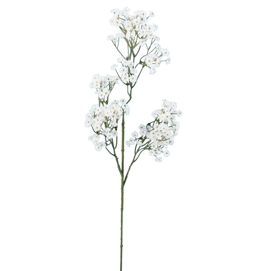 GYPSOPHILE 60