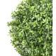 BOXWOOD BALL NEW REGULAR UV