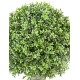 BOXWOOD BALL NEW REGULAR UV