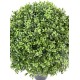 BOXWOOD BALL NEW REGULAR UV