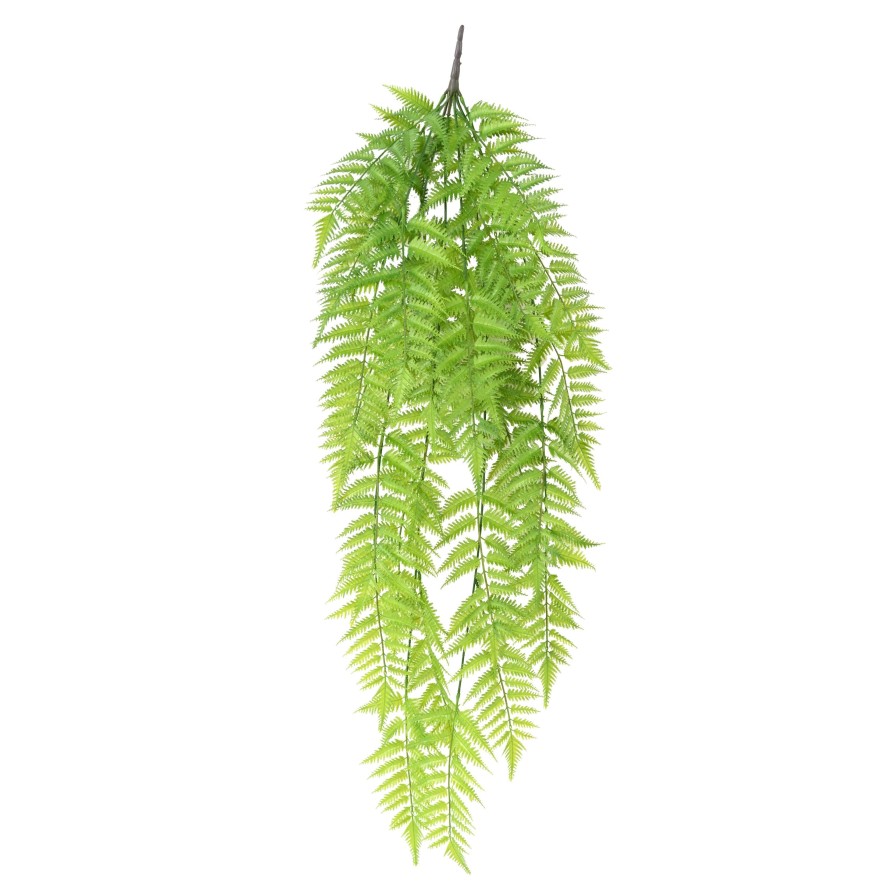 JAGGED FERN CHUTE 120