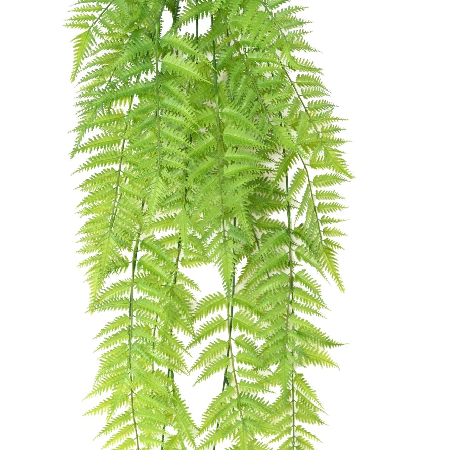 JAGGED FERN CHUTE 120