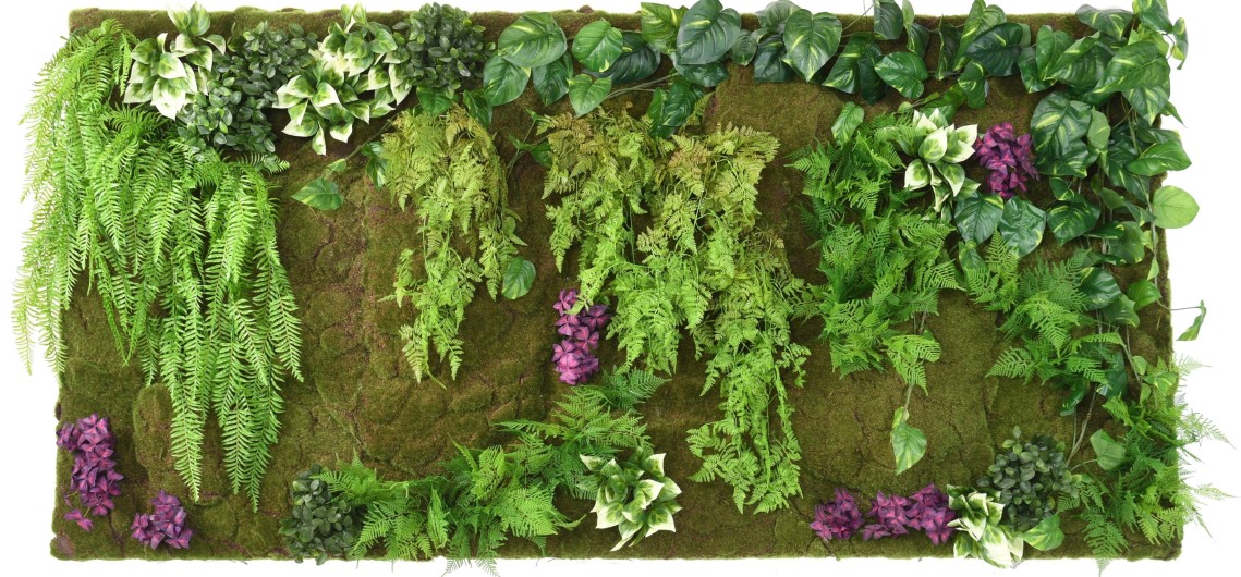 MUR VEGETAL OXALIS FOUGERE CHUTE