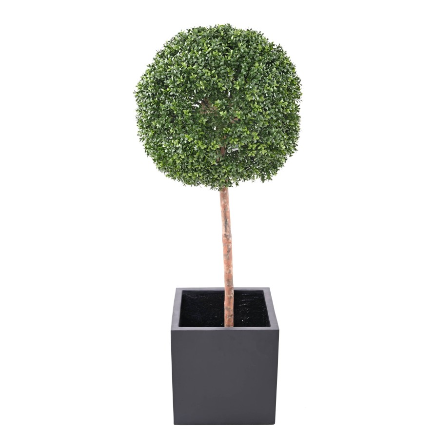 BOXWOOD BALL STEM NEW REGULAR UV