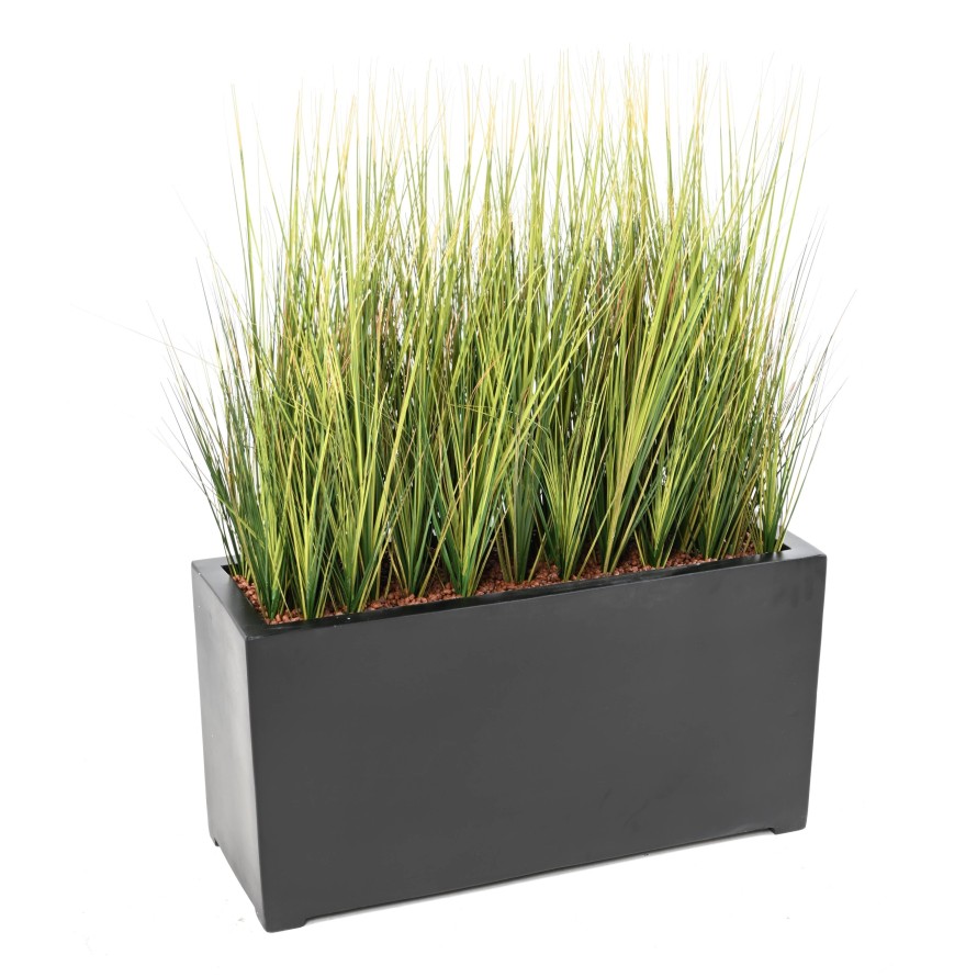 ONION GRASS IN A WINDOW BOX