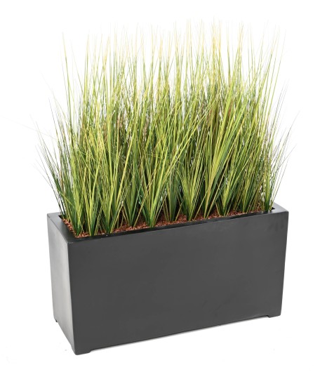 ONION GRASS IN A WINDOW BOX