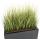 ONION GRASS IN A WINDOW BOX