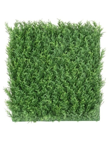 CYPRESS GREEN WALL NEW 50*50