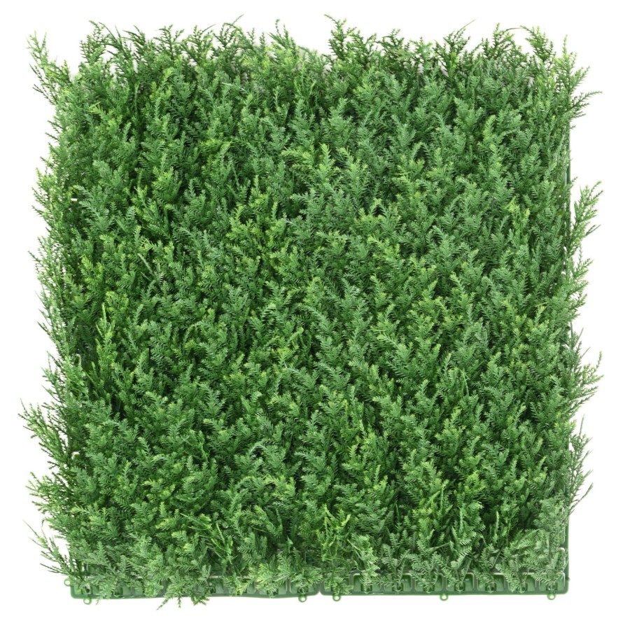 CYPRESS GREEN WALL NEW 50*50