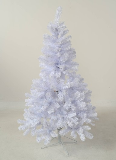 SAPIN IMPERIAL BLANC