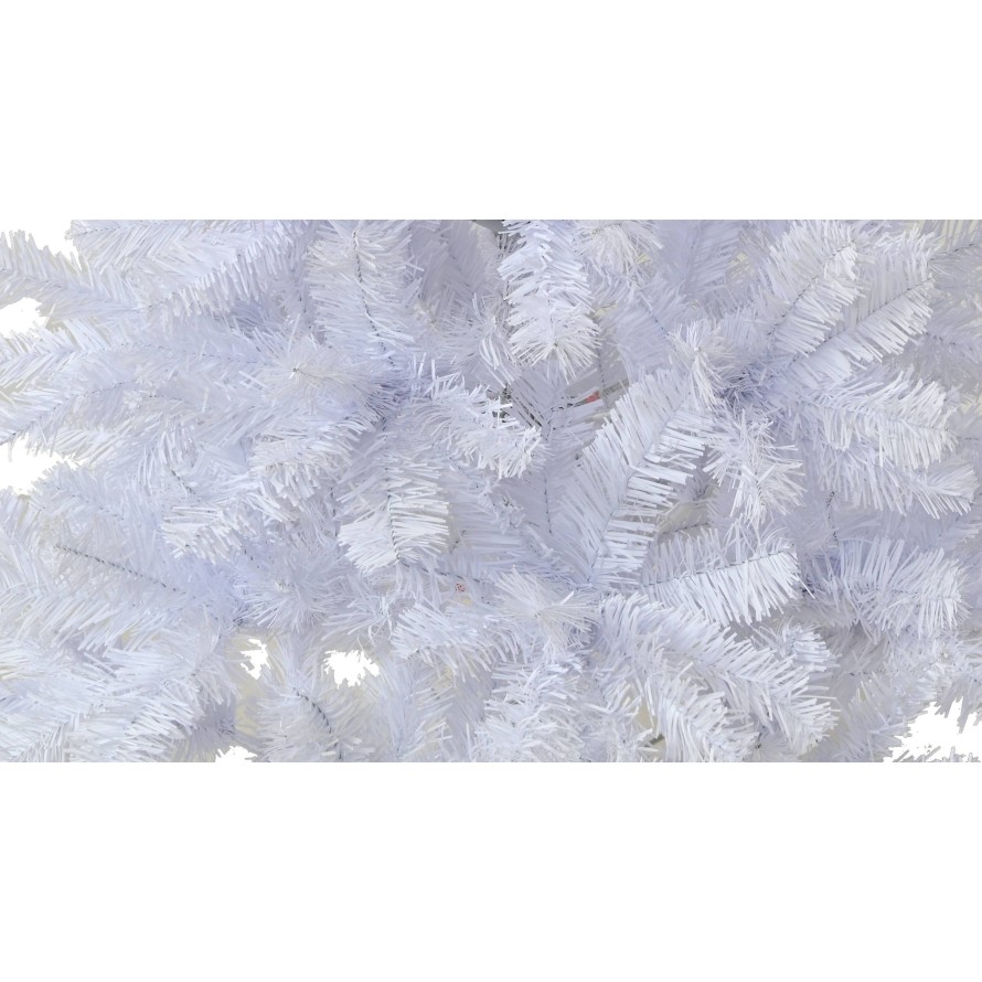 FIR IMPERIAL WHITE