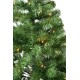 PRE-ILLUMINATED IMPERIAL FIR