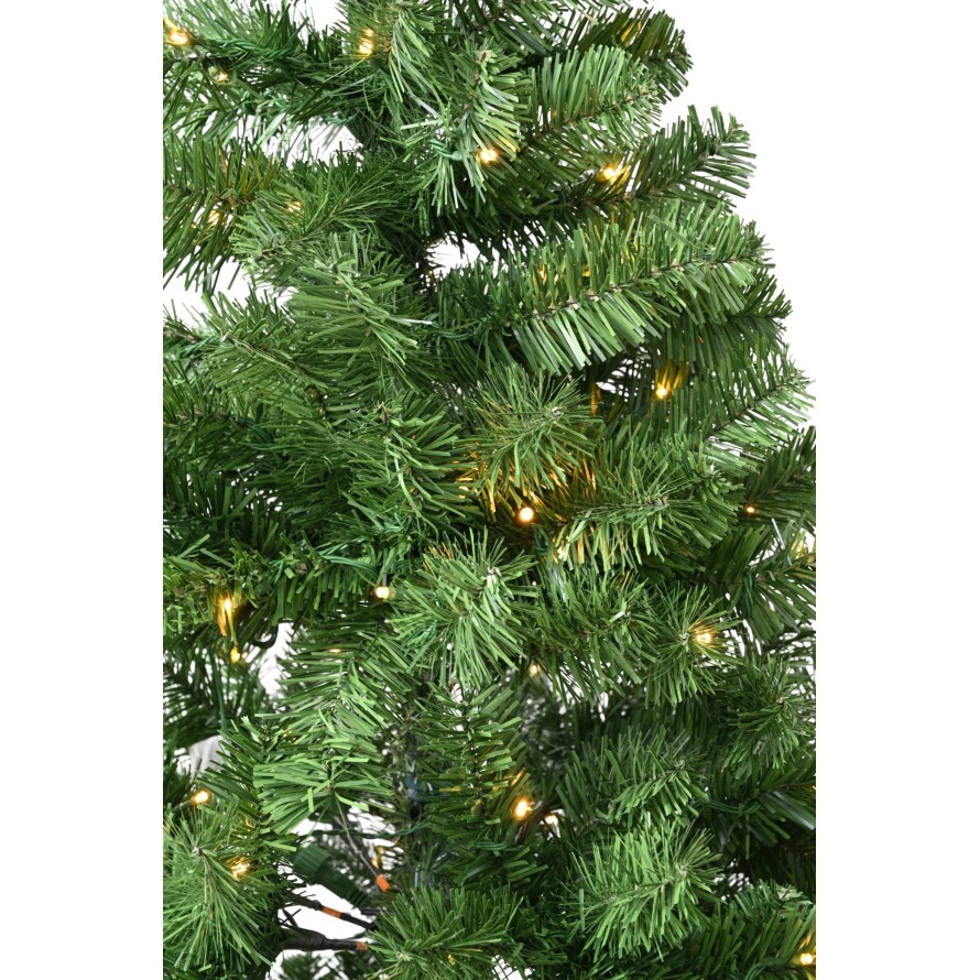 PRE-ILLUMINATED IMPERIAL FIR