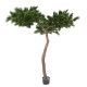 PINE UMBRELLA T 240