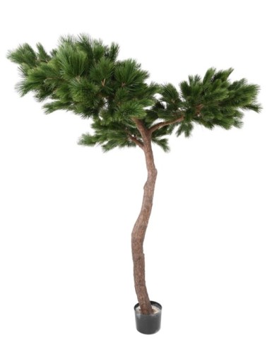 PINE UMBRELLA T 240