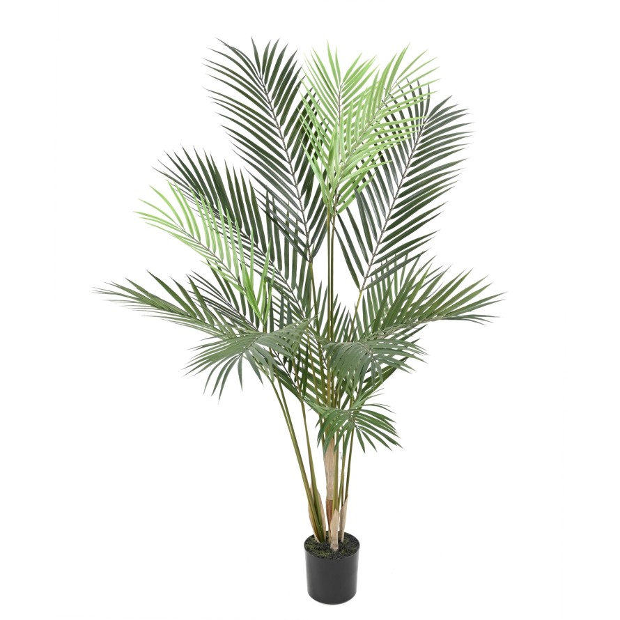 ARECA PLAST