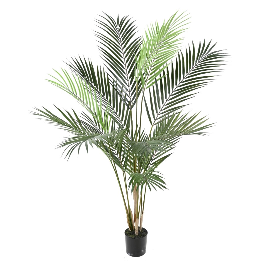 ARECA PLAST