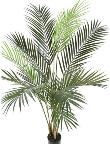 ARECA PLAST