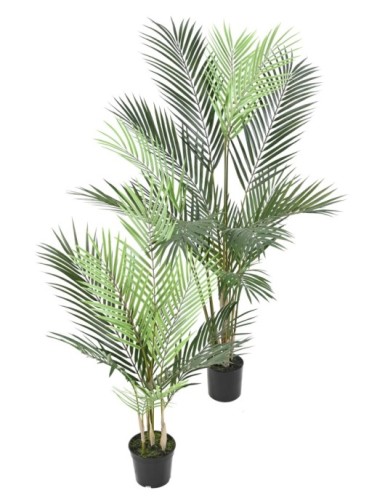 ARECA PLAST