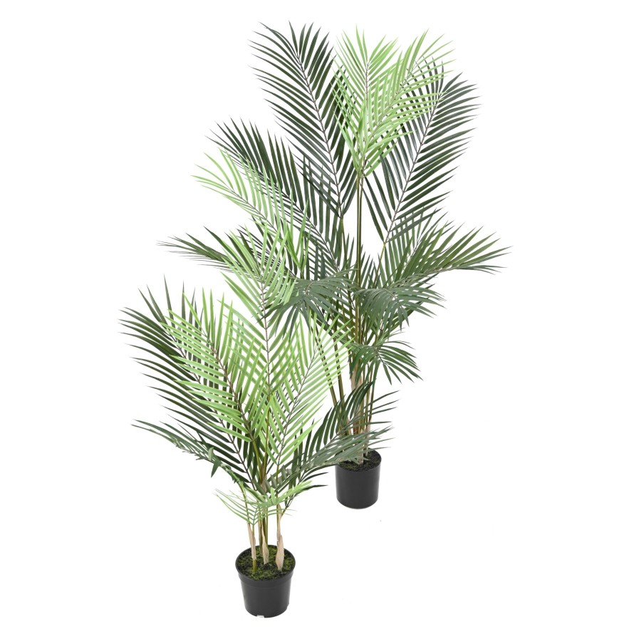 ARECA PLAST