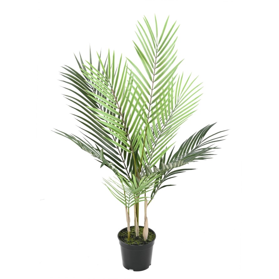 ARECA PLAST