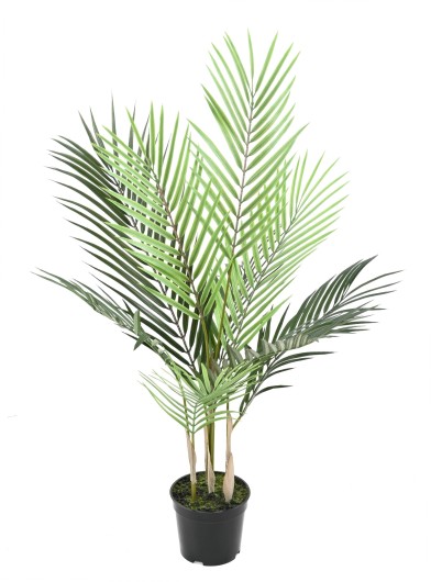 ARECA PLAST