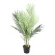 ARECA PLAST