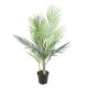 ARECA PLAST