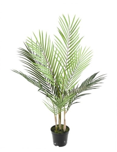 ARECA PLAST