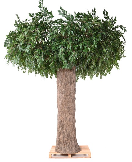 FICUS GEANT TRONC 2 PARTIES (Cache Poteau)