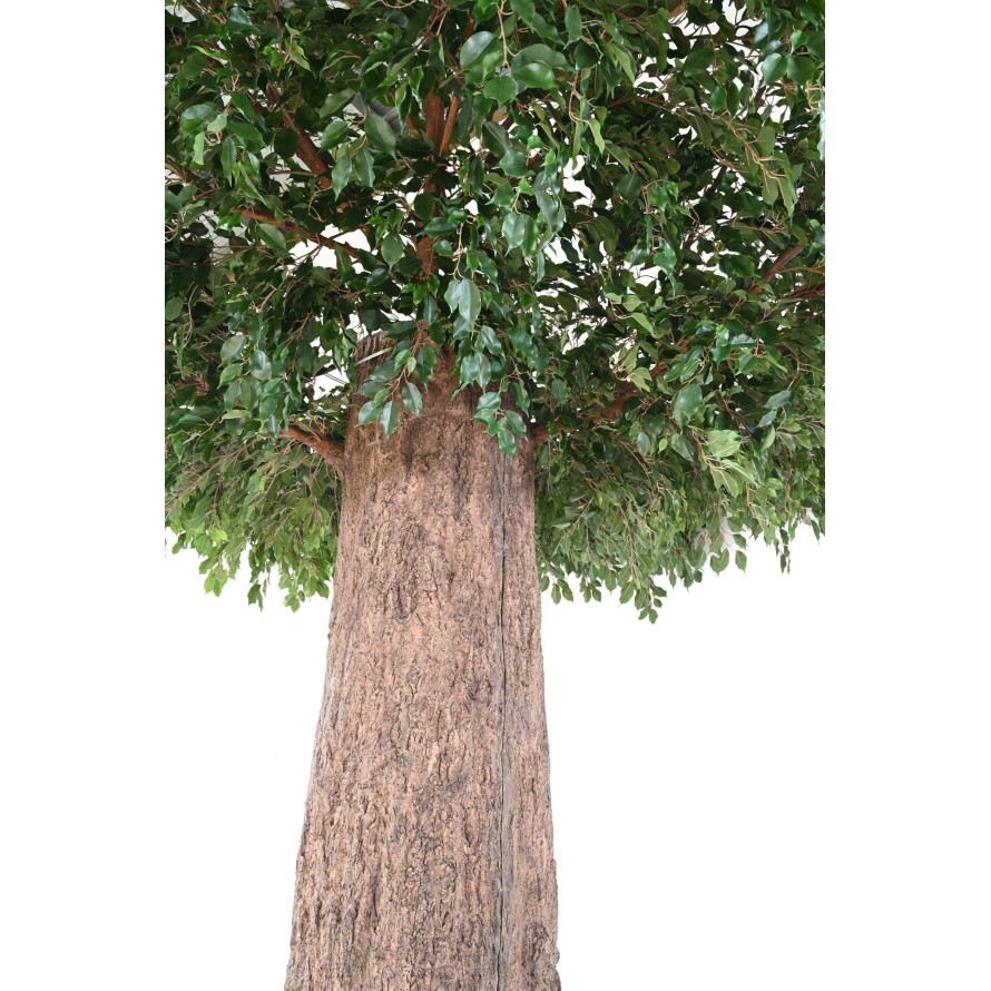 FICUS GEANT TRONC 2 PARTIES (Cache Poteau)