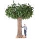 FICUS GEANT TRONC 2 PARTIES (Cache Poteau)