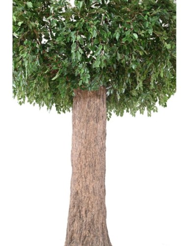 FICUS GEANT TRONC 2 PARTIES (Cache Poteau)