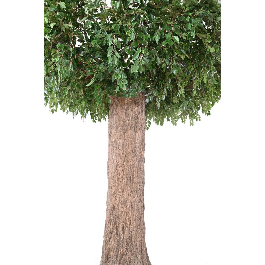 FICUS GEANT TRONC 2 PARTIES (Cache Poteau)