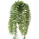 FERN CHUTE 75 POT