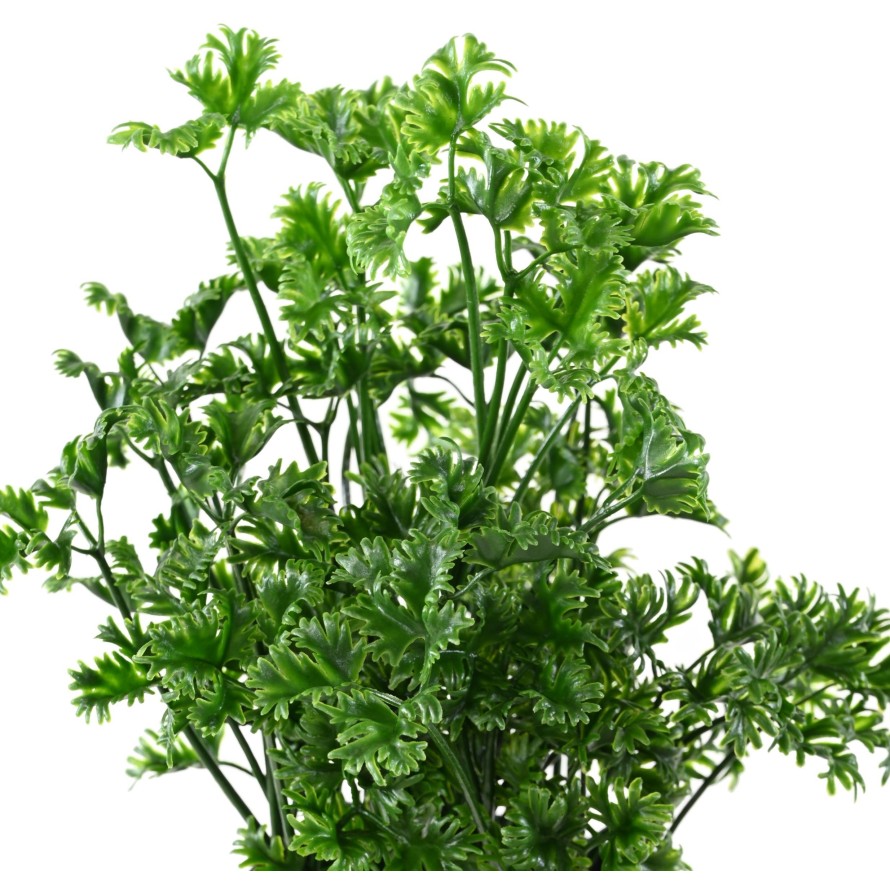 PARSLEY 25 JAR