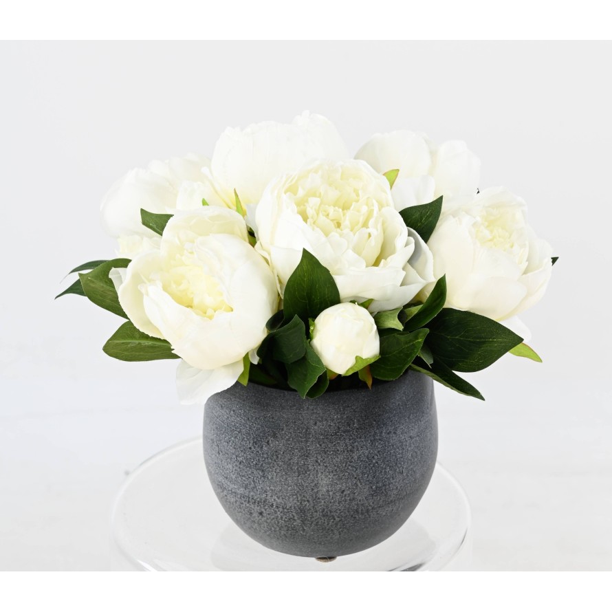 COMPOSITION WHITE PEONIES