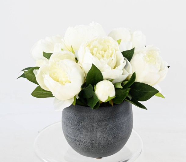 COMPOSITION WHITE PEONIES