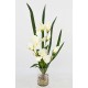 WHITE IRIS BOUQUET