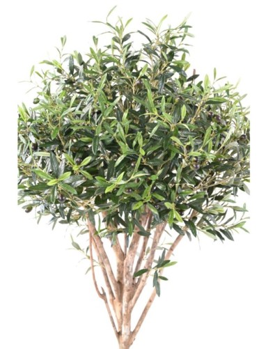 OLIVE TREE TOPPING TREE