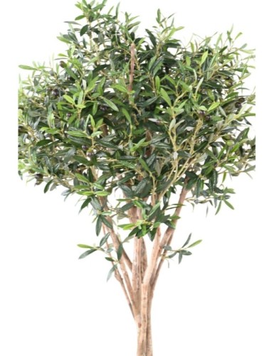 OLIVE TREE TOPPING TREE