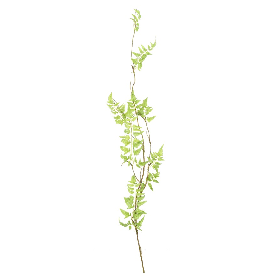 FERN GARLAND 150