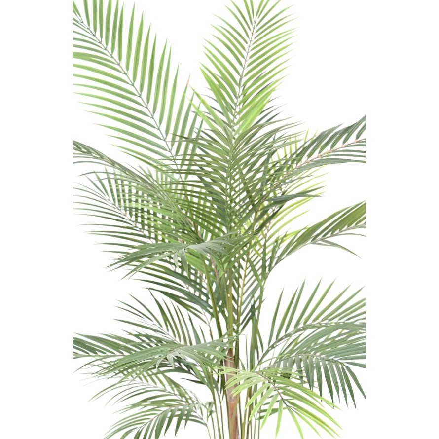 ARECA PLAST