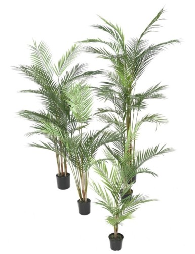 ARECA PLAST