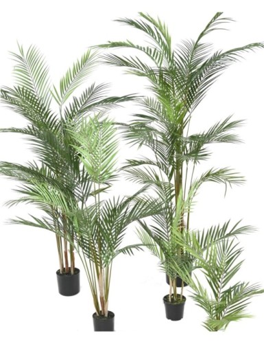 ARECA PLAST