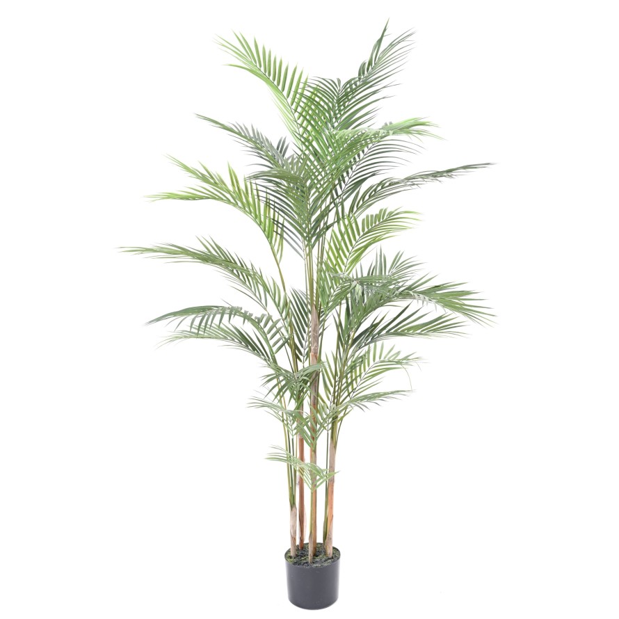 ARECA PLAST