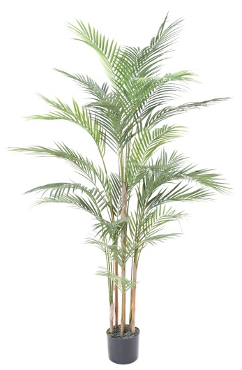 ARECA PLAST