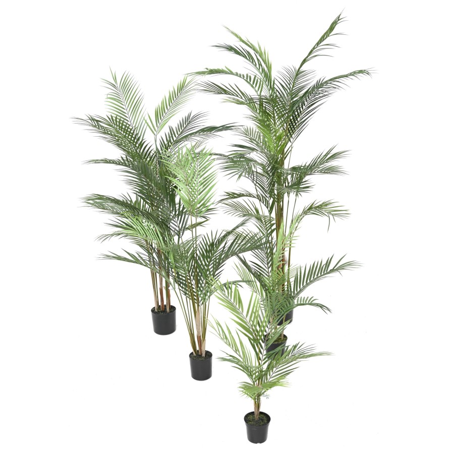 ARECA PLAST