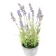 LAVENDER deco pot